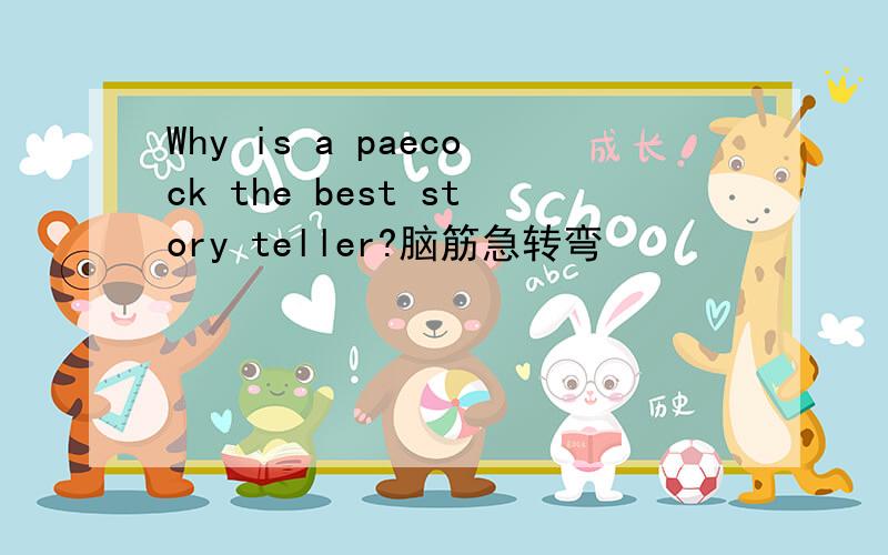 Why is a paecock the best story teller?脑筋急转弯