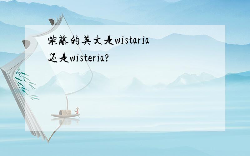 紫藤的英文是wistaria还是wisteria?