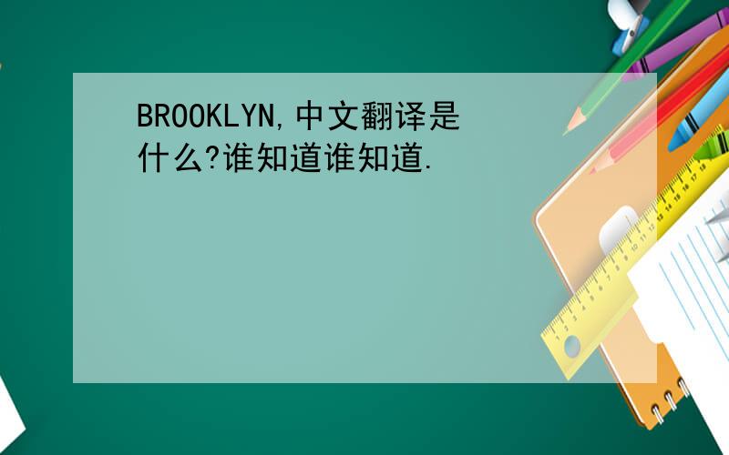 BROOKLYN,中文翻译是什么?谁知道谁知道.
