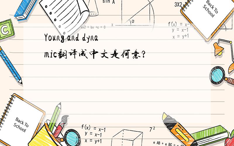 Young and dynamic翻译成中文是何意?