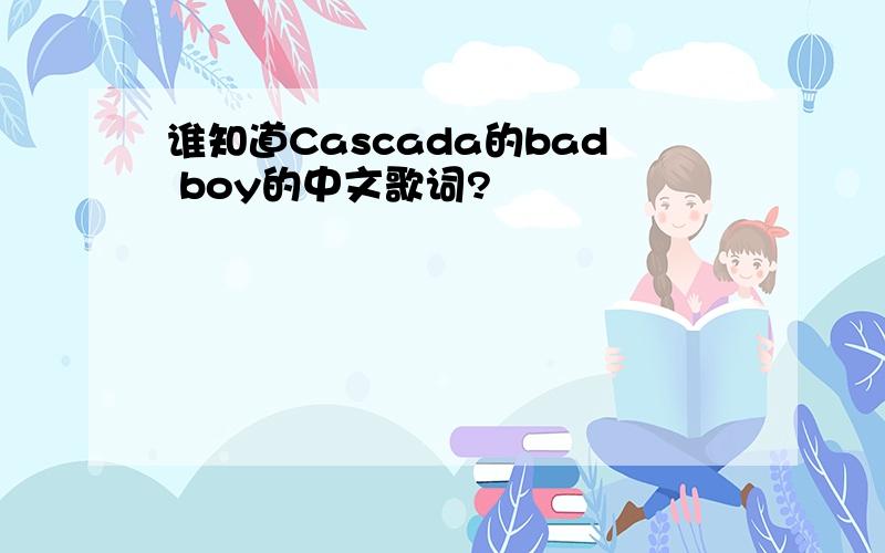 谁知道Cascada的bad boy的中文歌词?