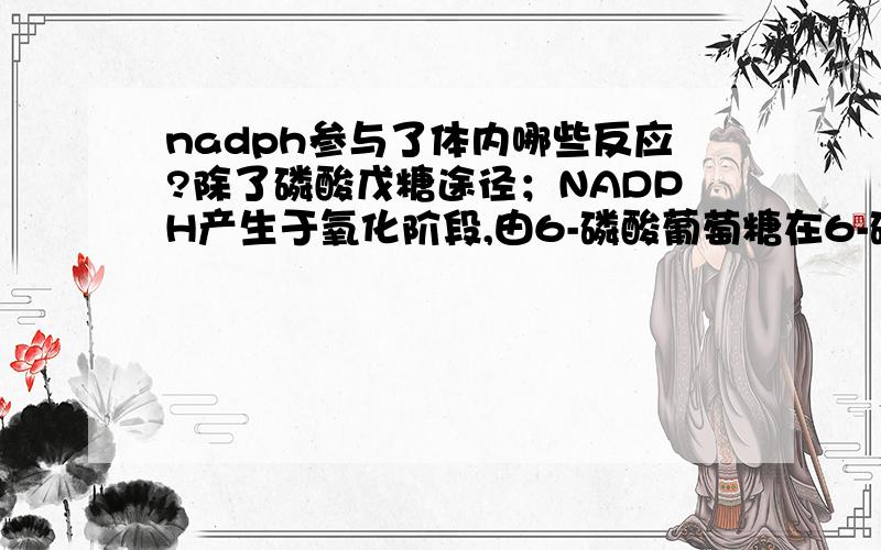 nadph参与了体内哪些反应?除了磷酸戊糖途径；NADPH产生于氧化阶段,由6-磷酸葡萄糖在6-磷酸葡萄糖脱氢酶的作用下形成5-磷酸核酮糖,脱下的氢变转移到NADP+上形成NADPH.柠檬酸循环；苹果酸在苹