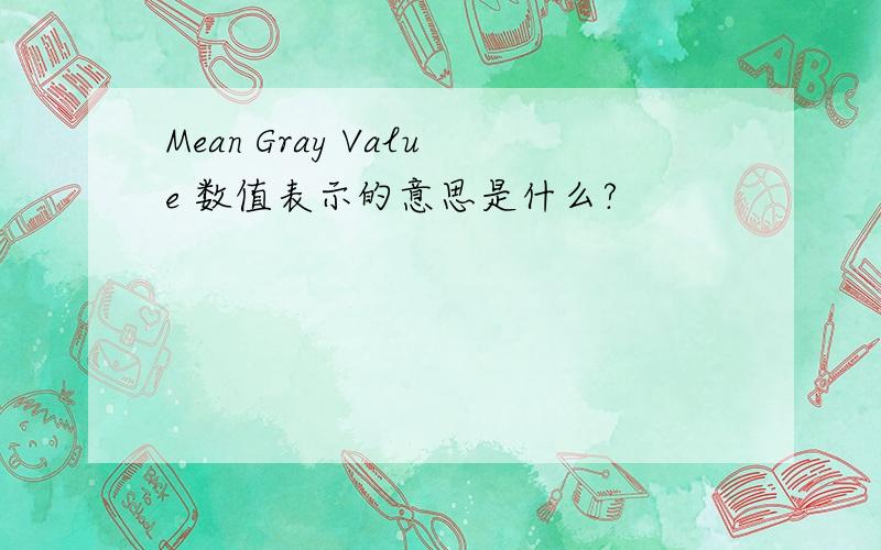 Mean Gray Value 数值表示的意思是什么?