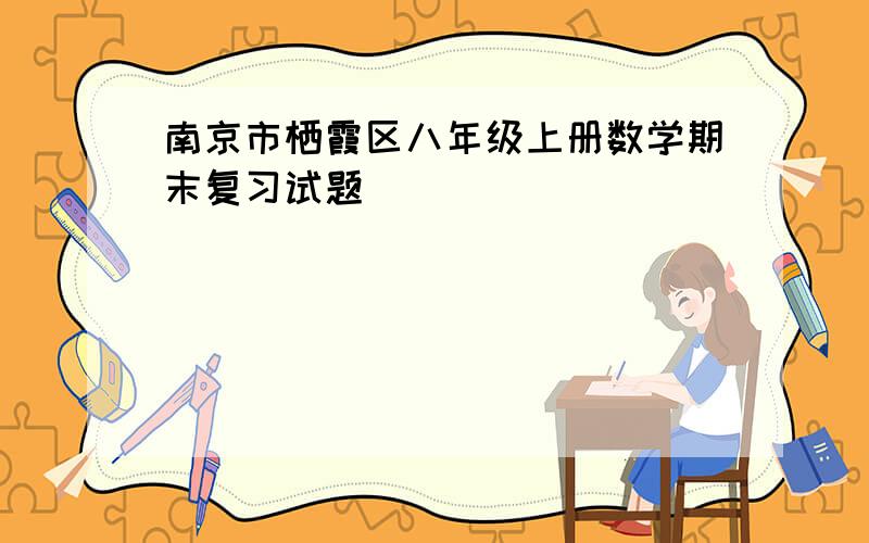 南京市栖霞区八年级上册数学期末复习试题