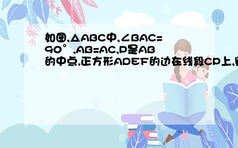 如图,△ABC中,∠BAC=90°,AB=AC,P是AB的中点,正方形ADEF的边在线段CP上,则正方形ADEF与△ABC的面积的比为