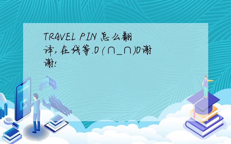 TRAVEL PIN 怎么翻译,在线等.O(∩_∩)O谢谢!