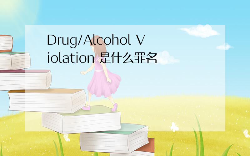 Drug/Alcohol Violation 是什么罪名