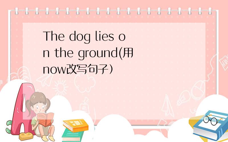 The dog lies on the ground(用now改写句子）