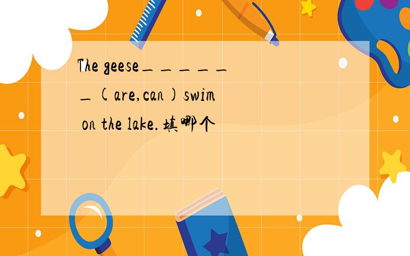 The geese______(are,can)swim on the lake.填哪个