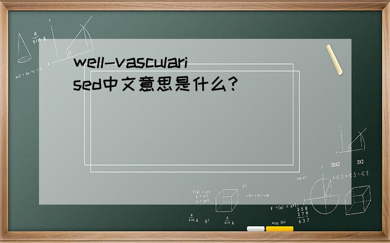 well-vascularised中文意思是什么?