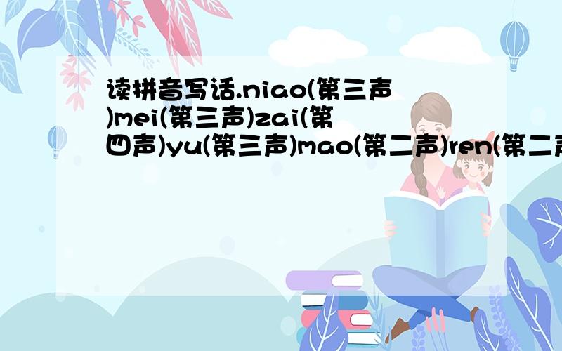 读拼音写话.niao(第三声)mei(第三声)zai(第四声)yu(第三声)mao(第二声)ren(第二声)mei(第三声)zai（第四声）xue（第二声）wen（第四声）.
