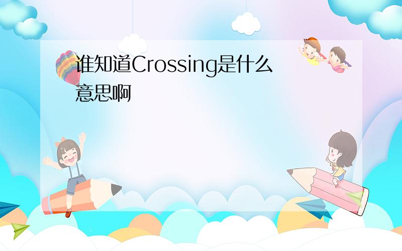 谁知道Crossing是什么意思啊