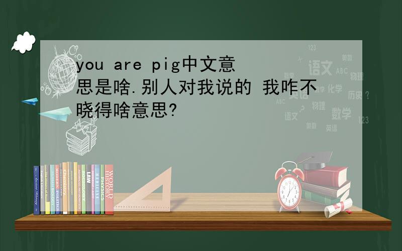 you are pig中文意思是啥.别人对我说的 我咋不晓得啥意思?
