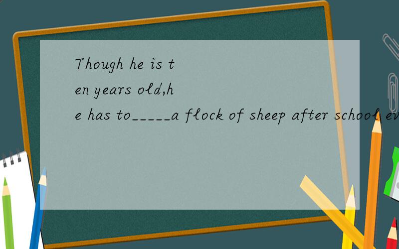 Though he is ten years old,he has to_____a flock of sheep after school every dayA:mindB:lookC:makeD:see选哪个?为什么?（我现在正在初学英语,