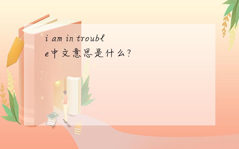 i am in trouble中文意思是什么?