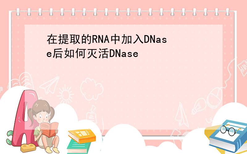 在提取的RNA中加入DNase后如何灭活DNase