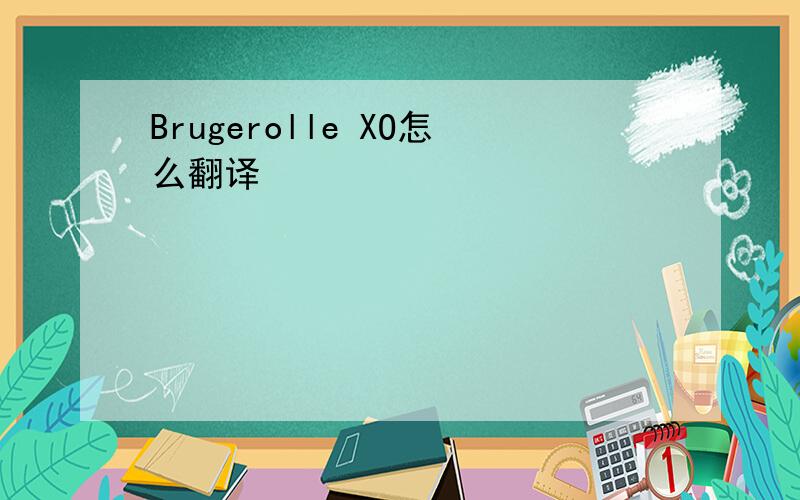 Brugerolle XO怎么翻译
