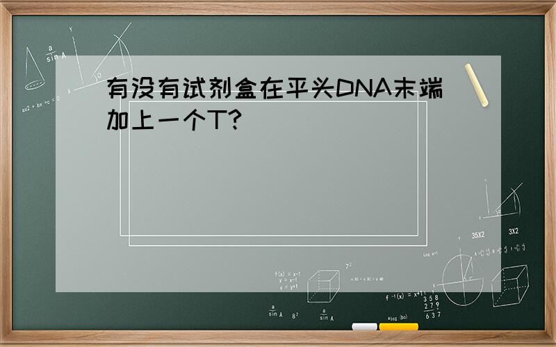 有没有试剂盒在平头DNA末端加上一个T?