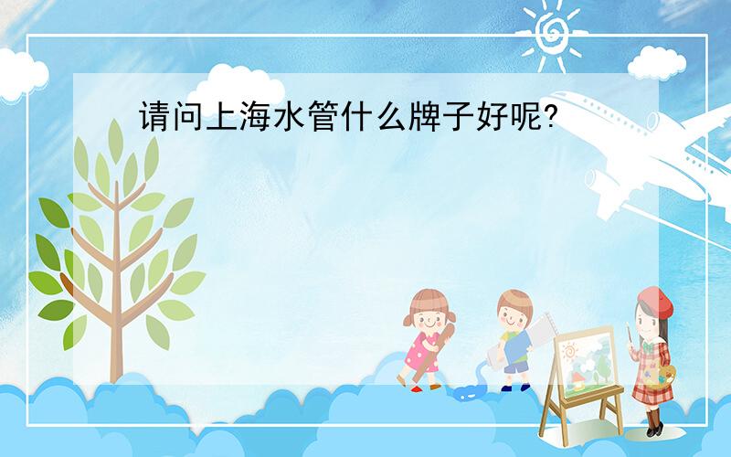 请问上海水管什么牌子好呢?