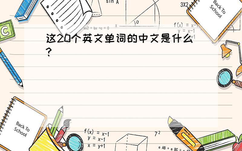 这20个英文单词的中文是什么?