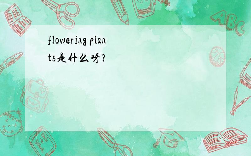 flowering plants是什么呀?