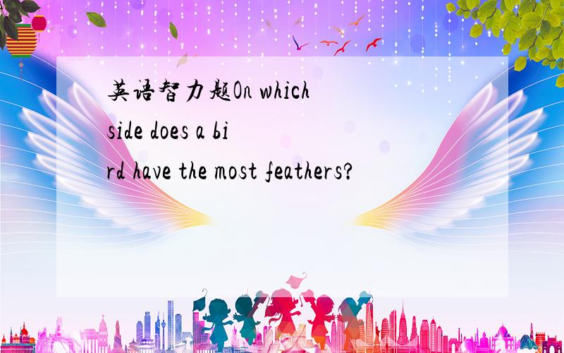 英语智力题On which side does a bird have the most feathers?