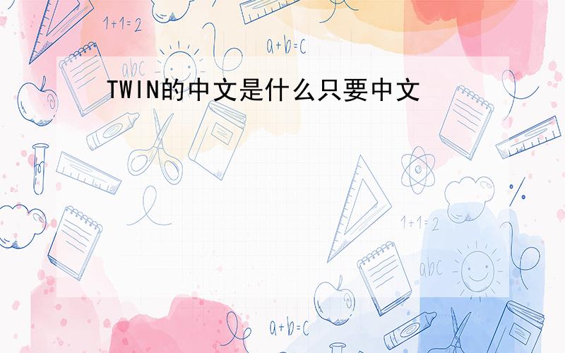TWIN的中文是什么只要中文