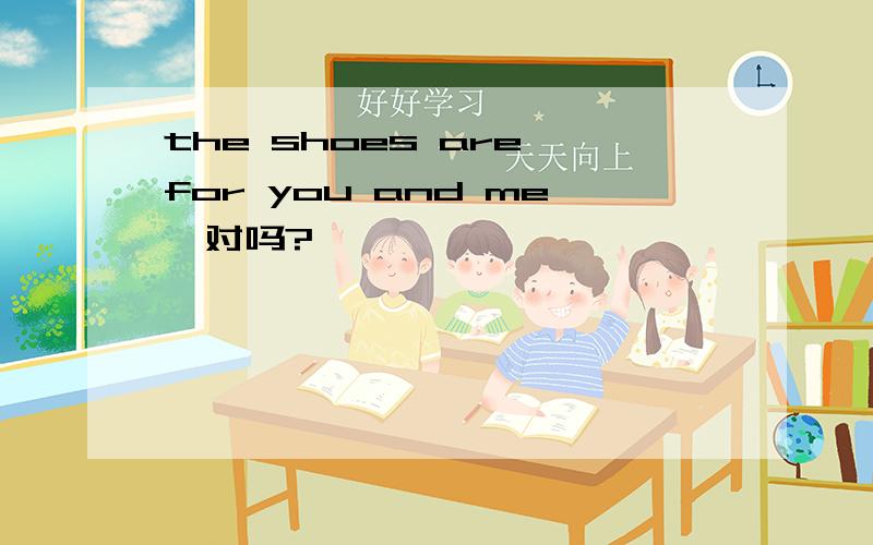 the shoes are for you and me,对吗?