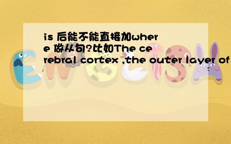 is 后能不能直接加where 做从句?比如The cerebral cortex ,the outer layer of the brain,is where most memory storage,cognitive skills ,and creative think reside.这句话中,is 后能不能直接加where还是该加个is the place where...