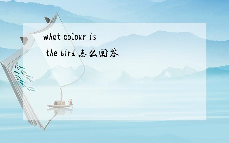 what colour is the bird 怎么回答