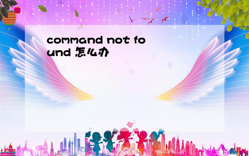 command not found 怎么办