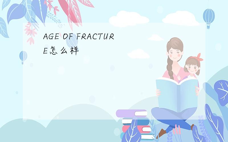 AGE OF FRACTURE怎么样