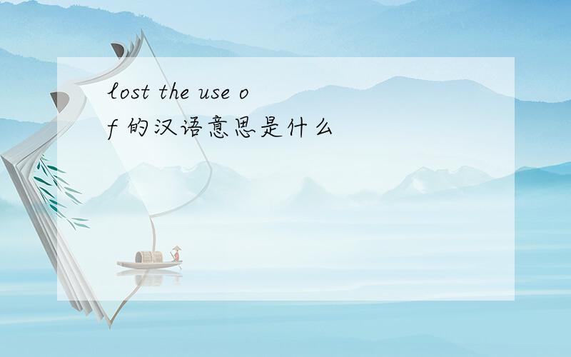 lost the use of 的汉语意思是什么