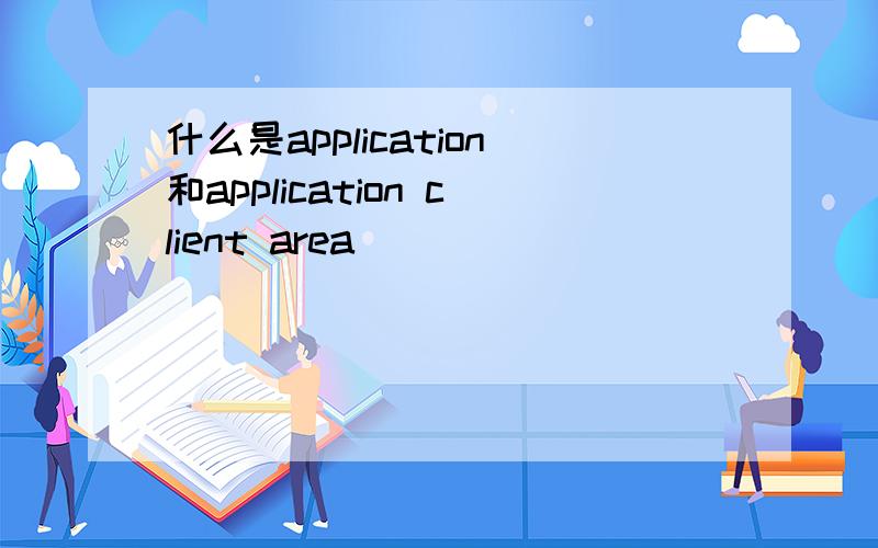什么是application和application client area