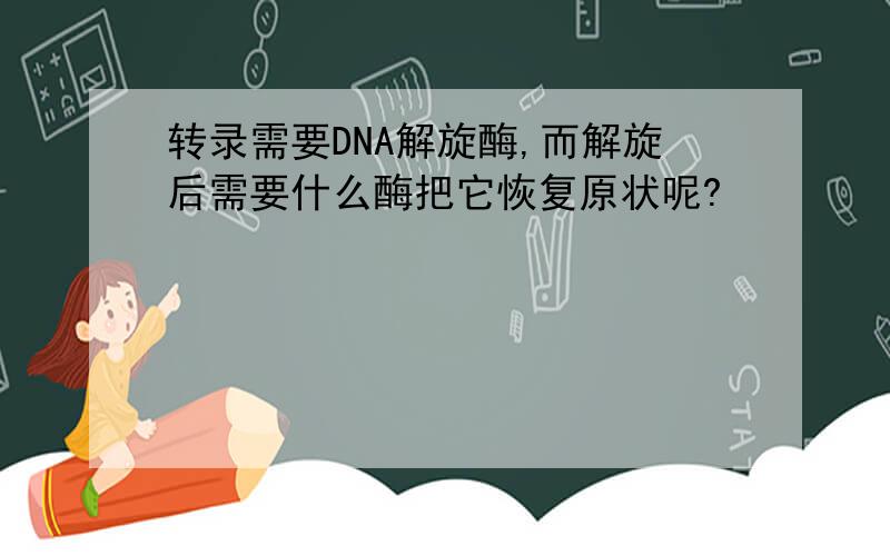 转录需要DNA解旋酶,而解旋后需要什么酶把它恢复原状呢?