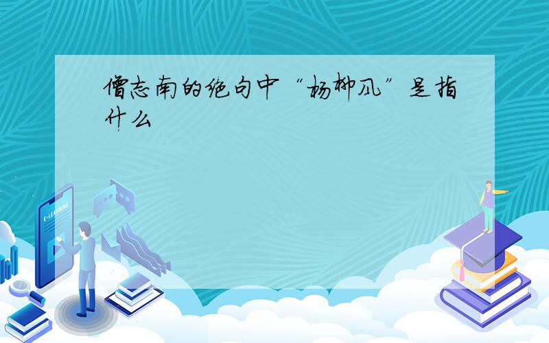 僧志南的绝句中“杨柳风”是指什么