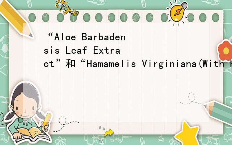 “Aloe Barbadensis Leaf Extract”和“Hamamelis Virginiana(With Hazel) Extract