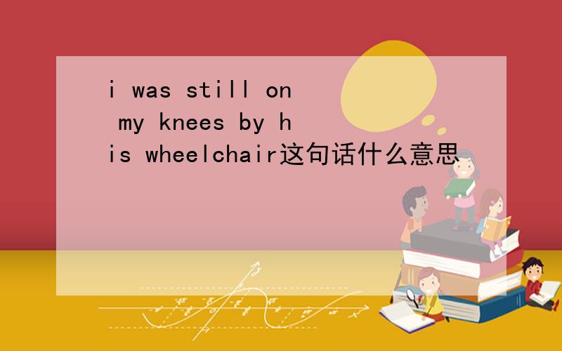 i was still on my knees by his wheelchair这句话什么意思