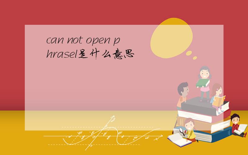 can not open phrasel是什么意思