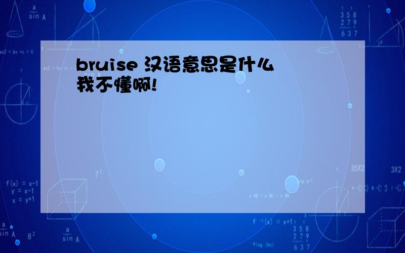 bruise 汉语意思是什么我不懂啊!