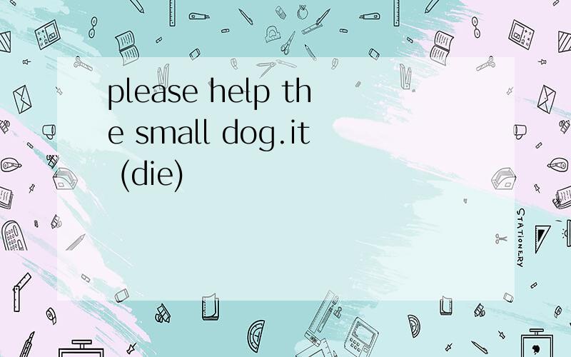 please help the small dog.it (die)
