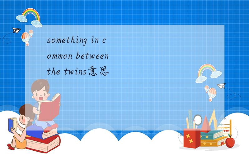 something in common between the twins意思