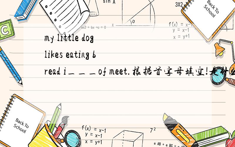 my little dog likes eating bread i___of meet.根据首字母填空!是什么!