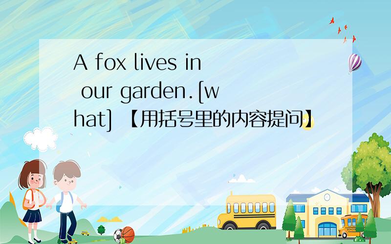 A fox lives in our garden.[what] 【用括号里的内容提问】