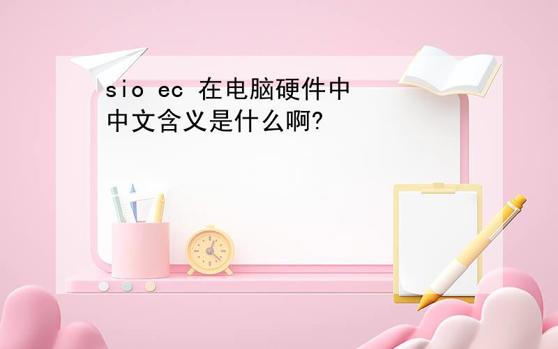 sio ec 在电脑硬件中 中文含义是什么啊?