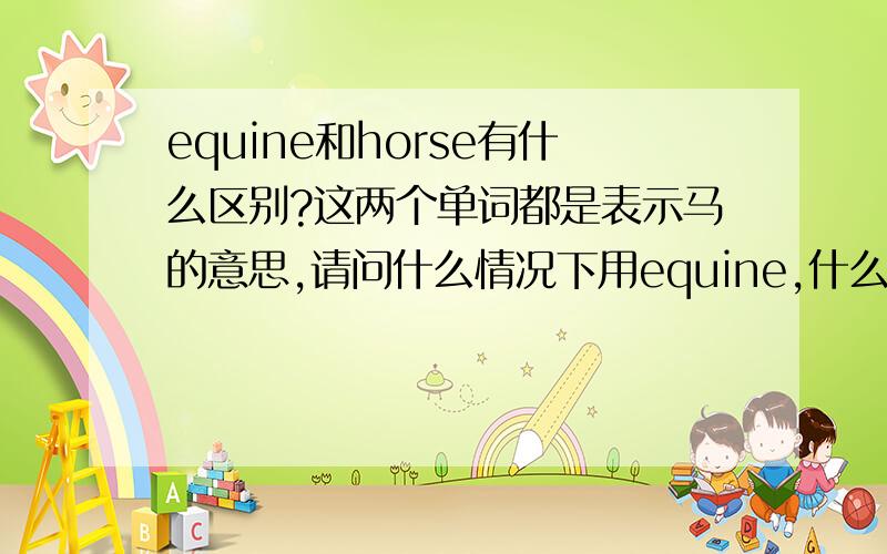 equine和horse有什么区别?这两个单词都是表示马的意思,请问什么情况下用equine,什么情况下用horse?
