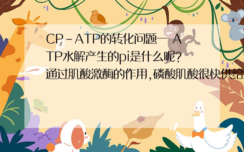 CP-ATP的转化问题一 ATP水解产生的pi是什么呢?通过肌酸激酶的作用,磷酸肌酸很快供给ADP以磷酸基,从而恢复正常ATP平.这句话怎么理解?1磷酸肌酸---肌酸+Pi+能量,这里的提供磷酸基就是提供Pi么?2