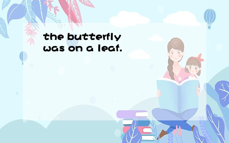 the butterfly was on a leaf.