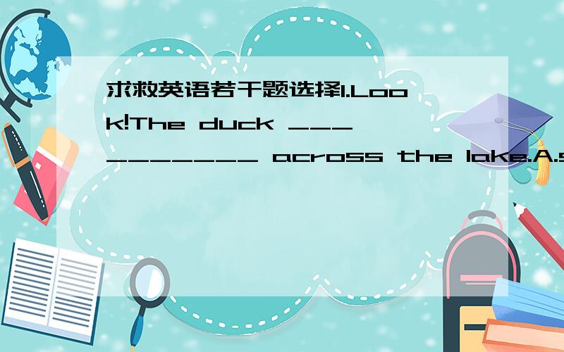 求救英语若干题选择1.Look!The duck __________ across the lake.A.swims B.is swimming C.can swimming2.Would you like ________ cup pf coffee?A.eat B.to have C.having3.He is going to _______ Japanese next term.A.studies B.stydy C.studying4.Where