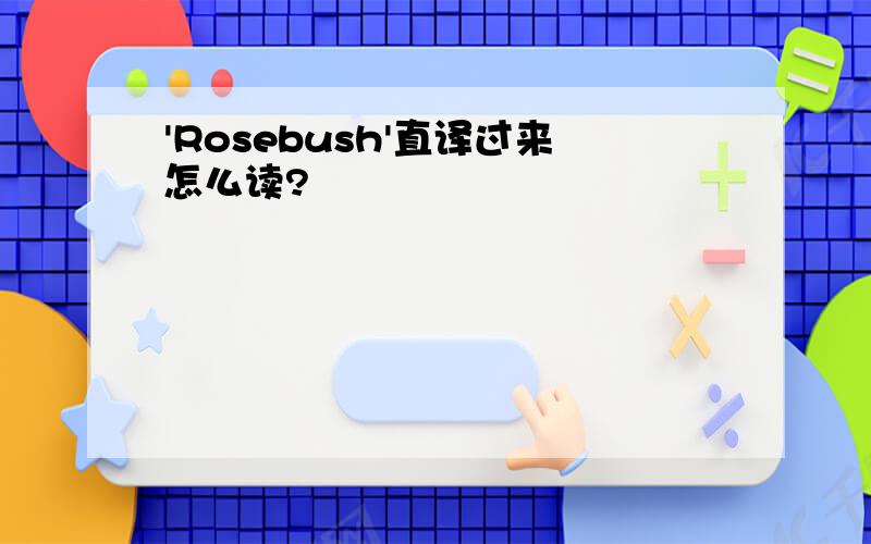 'Rosebush'直译过来怎么读?